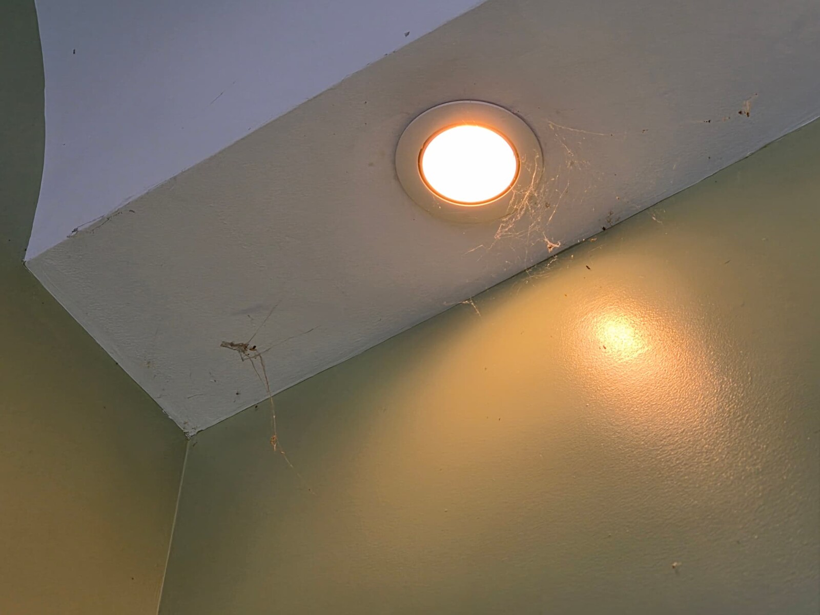 Ceiling detail , before