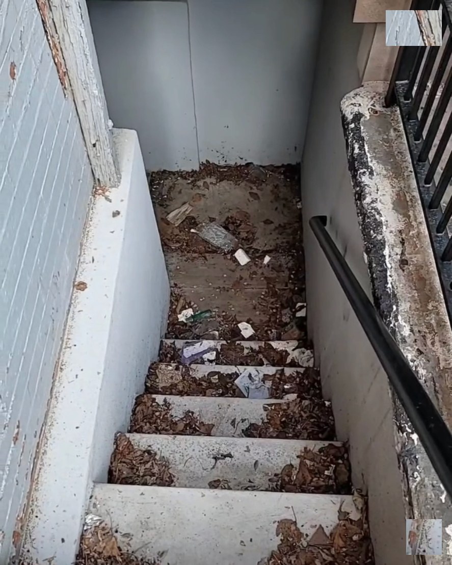 Stairwell groundskeeping , before